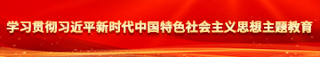 日逼出水学习贯彻习近平新时代中国特色社会主义思想主题教育